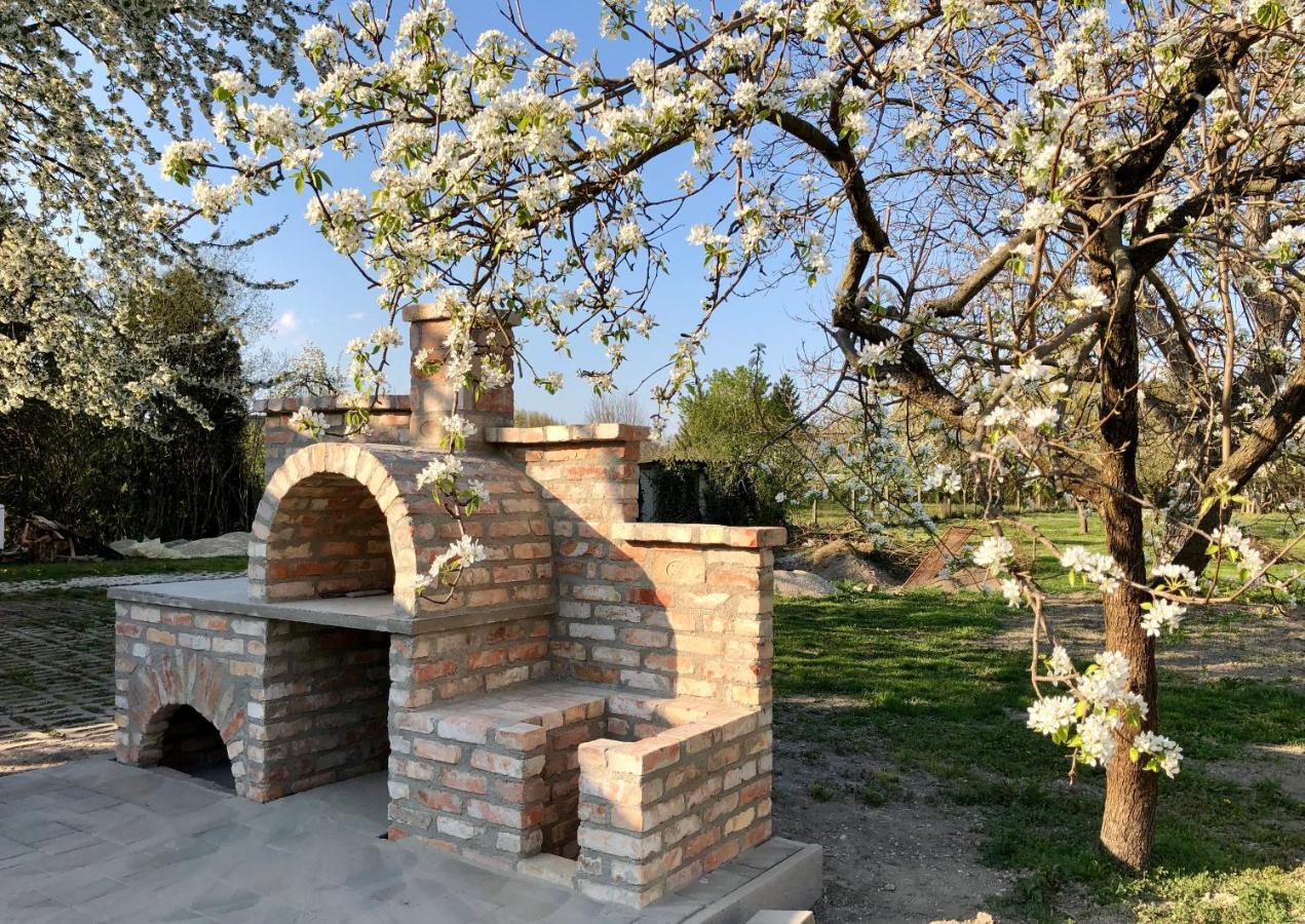Ferienwohnung Elvira Vendeghaz Kisbodak Exterior foto