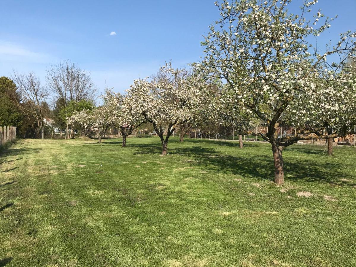Ferienwohnung Elvira Vendeghaz Kisbodak Exterior foto