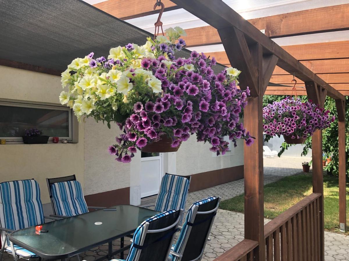 Ferienwohnung Elvira Vendeghaz Kisbodak Exterior foto