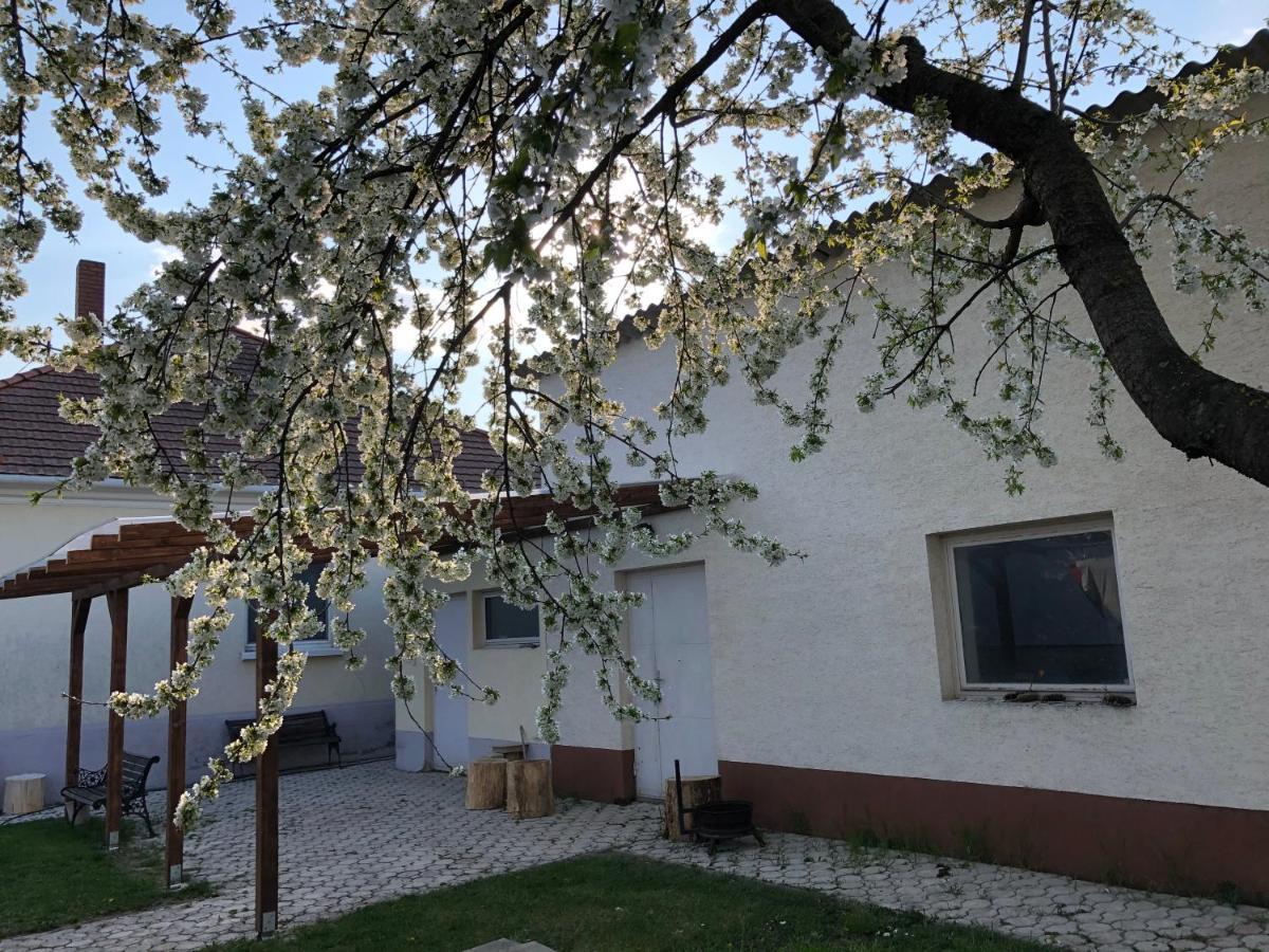 Ferienwohnung Elvira Vendeghaz Kisbodak Exterior foto